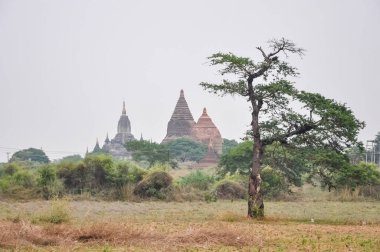 Myanmar 'da binlerce pagoda vadisi var. Tapınakları ve tapınakları olan eski bir dini Pagan şehri..