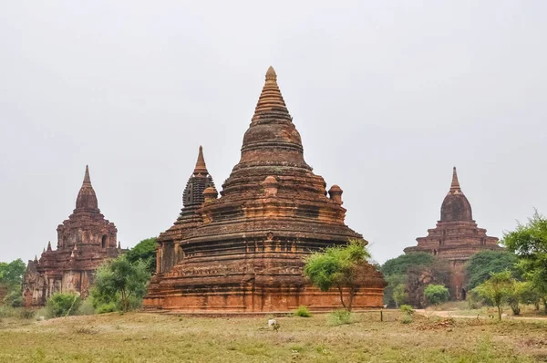 Myanmar 'da binlerce pagoda vadisi var. Tapınakları ve tapınakları olan eski bir dini Pagan şehri..