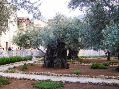 Jerusalem, İsrail - 23 Mayıs 2013: Kudüs şehri, şehir ve İsrail, dini semboller ve Binalar şehrin sokaklarında.