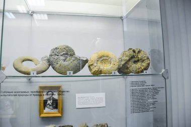 Jeoloji Müzesi adlı sonra Vernadsky, Moskova, Rusya - 11 Haziran 2018: Moskova'da Vernadsky ismini Müzesi sergiler, fosil kalır antik hayvanlar ve bitkiler.