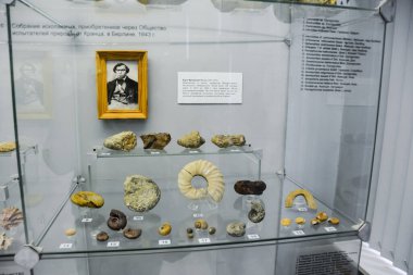 Jeoloji Müzesi adlı sonra Vernadsky, Moskova, Rusya - 11 Haziran 2018: Moskova'da Vernadsky ismini Müzesi sergiler, fosil kalır antik hayvanlar ve bitkiler.