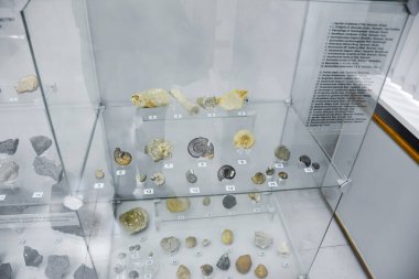 Jeoloji Müzesi adlı sonra Vernadsky, Moskova, Rusya - 11 Haziran 2018: Moskova'da Vernadsky ismini Müzesi sergiler, fosil kalır antik hayvanlar ve bitkiler.