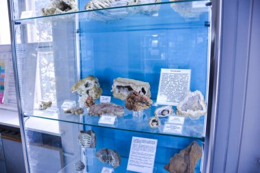 Jeoloji Müzesi adlı sonra Vernadsky, Moskova, Rusya - 11 Haziran 2018: Moskova'da Vernadsky ismini Müzesi sergiler, fosil kalır antik hayvanlar ve bitkiler.