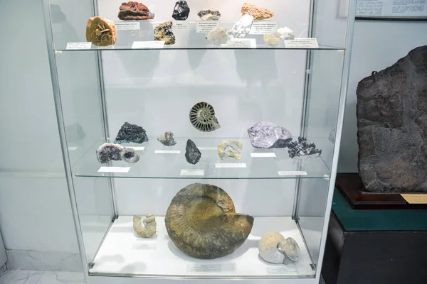 Museu Geológico Nomeado Após Vernadsky Moscou Rússia Junho 2018 Exposições — Fotografia de Stock