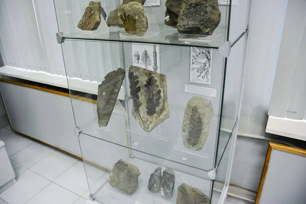 Museu Geológico Nomeado Após Vernadsky Moscou Rússia Junho 2018 Exposições — Fotografia de Stock