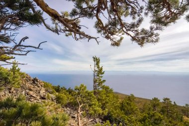 Sonbahar Doğa Deniz baykal üzerinde. Peyzaj ve baykal florası