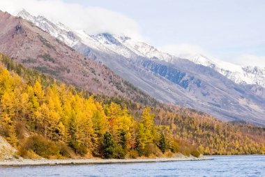 Sonbahar Doğa Deniz baykal üzerinde. Peyzaj ve baykal florası