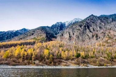 Sonbahar Doğa Deniz baykal üzerinde. Peyzaj ve baykal florası