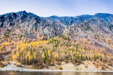 Sonbahar Doğa Deniz baykal üzerinde. Peyzaj ve baykal florası