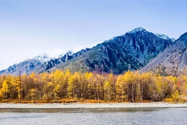 Sonbahar Doğa Deniz baykal üzerinde. Peyzaj ve baykal florası