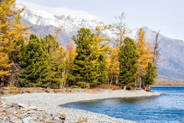 Podzimní Příroda Jezeře Bajkal Krajina Flóra Bajkal — Stock fotografie