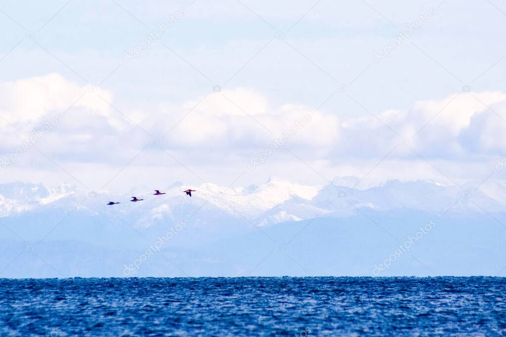 Waters of Lake Baikal, The water surface of Baikal, a beautiful landscape