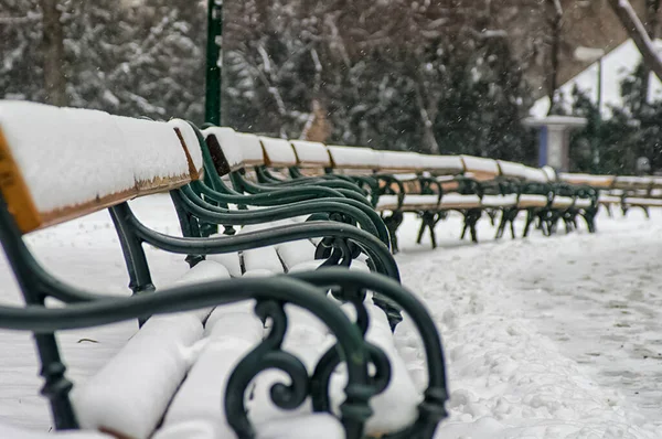 Benches Street Covered Snow Benches Street Covered Snow — Stock Photo, Image