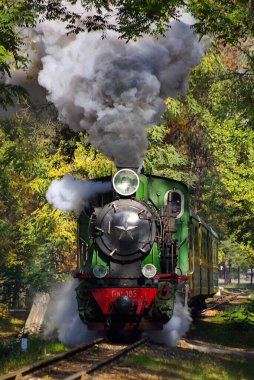 Novosibirsk, Rusya - 20 Temmuz 2018: Vintage buharlı lokomotif. Açık Hava Müzesi. lokomotif veya motor tren güdü güç sağlayan bir demiryolu taşıma aracı olduğunu.