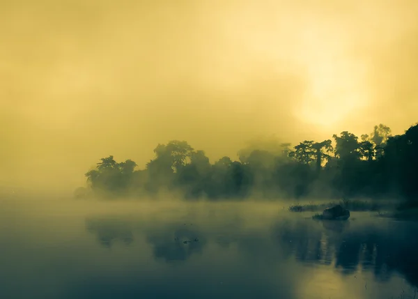 Отражающий туман на озере — стоковое фото