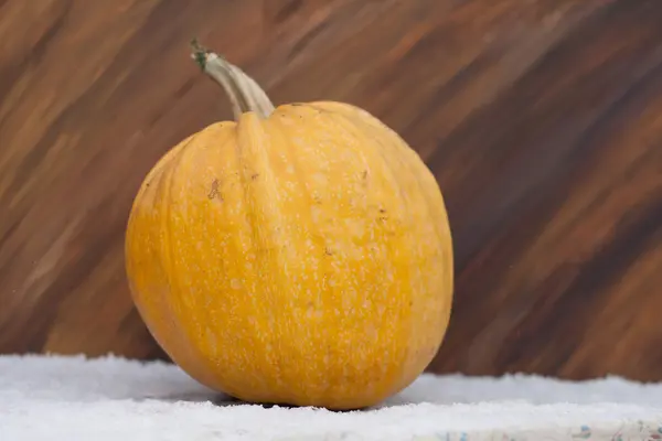 Orangenkürbis im Schnee — Stockfoto