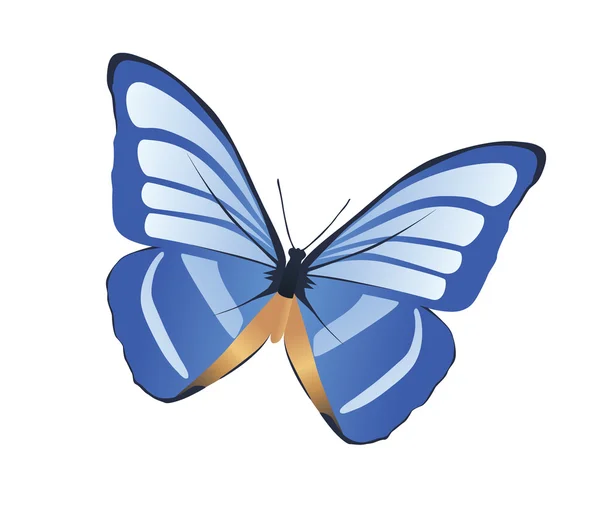 Butterfly — Stock Photo, Image