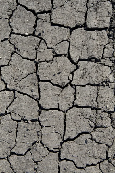 Gebarsten aarde — Stockfoto