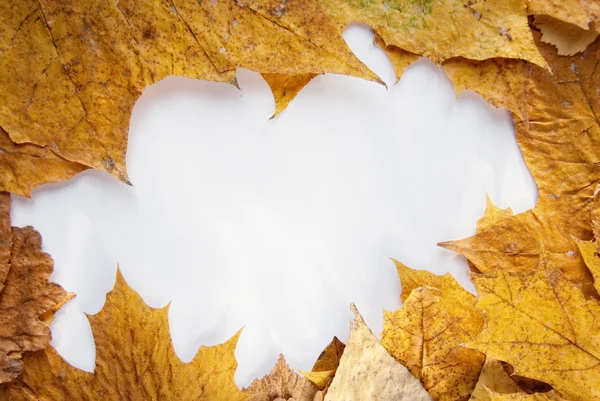 Rahmen aus Herbstblättern — Stockfoto