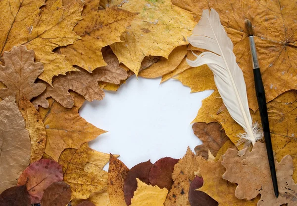 Rahmen aus Herbstblättern — Stockfoto