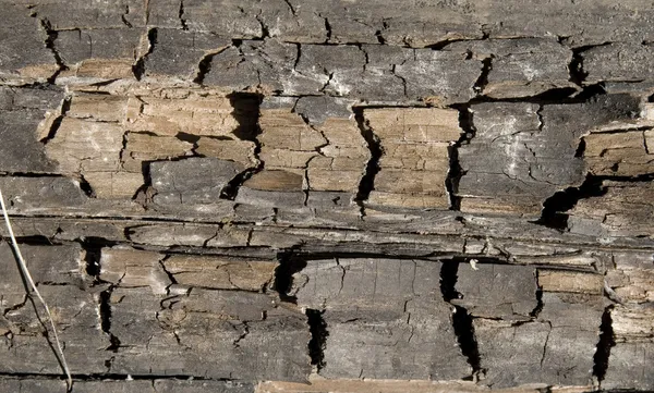 Textura de madera envejecida —  Fotos de Stock