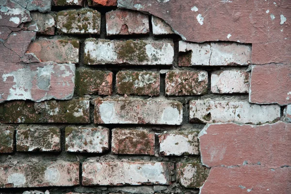 Crannied pleister op rode bakstenen muur — Stockfoto