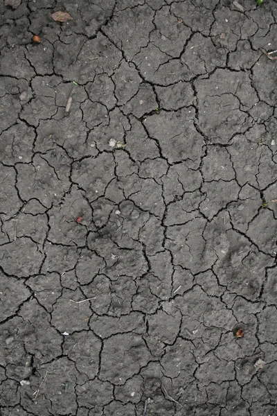 Boden mit trocknendem Riss — Stockfoto
