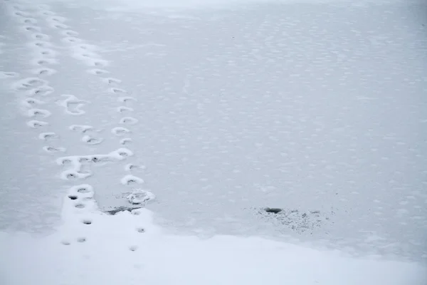 Sentiero invernale — Foto Stock