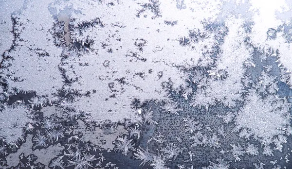 Frost på glas — Stockfoto