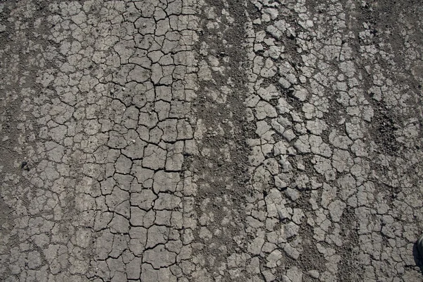 Cracked earth on road — Stock Photo, Image