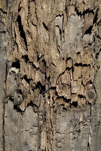 Textura de madera envejecida —  Fotos de Stock