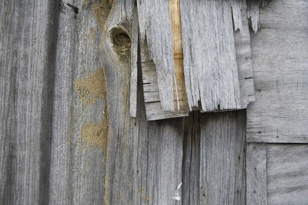 Gamla väderbitna trä bakgrund — Stockfoto