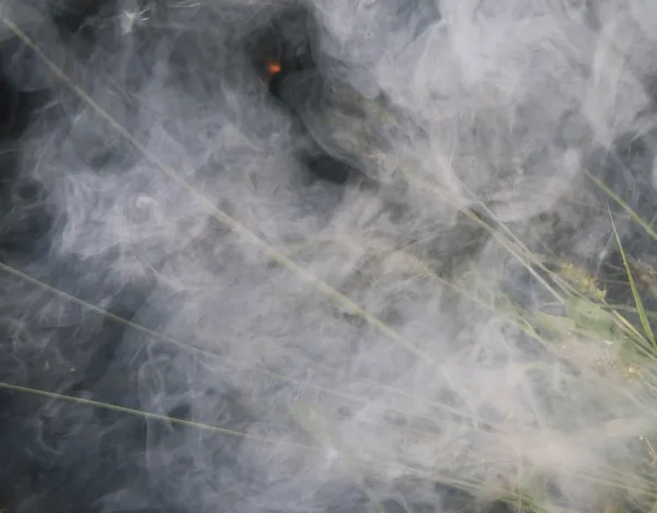 잔디로 연기 — 스톡 사진