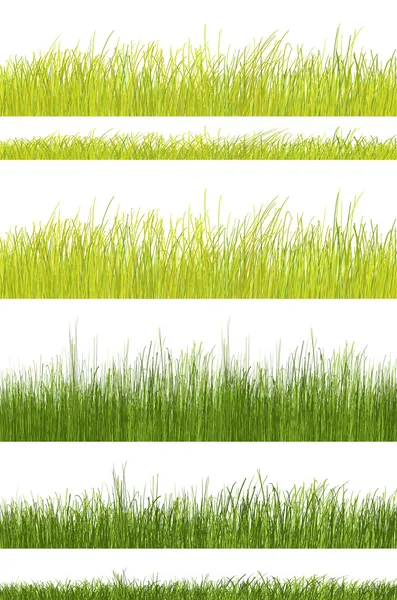 Padrão de grama verde no fundo branco — Fotografia de Stock