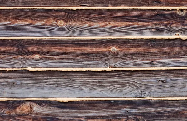Wooden texture — Stock Photo, Image