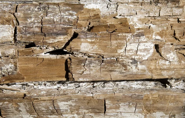 Weathered wooden texture Royalty Free Stock Photos