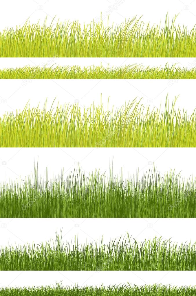 Green grass pattern on white background