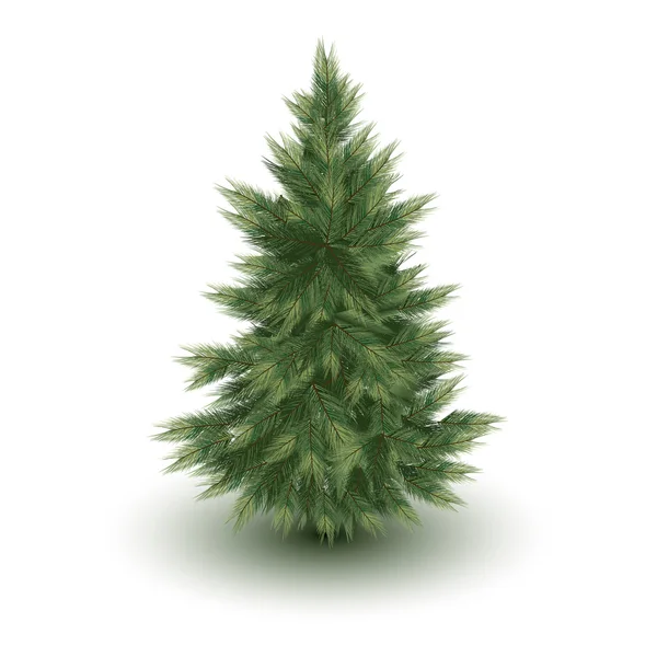 Vánoční strom vektorový obrázek — Stockový vektor