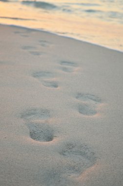 plaj, dalga ve ayak sesleri