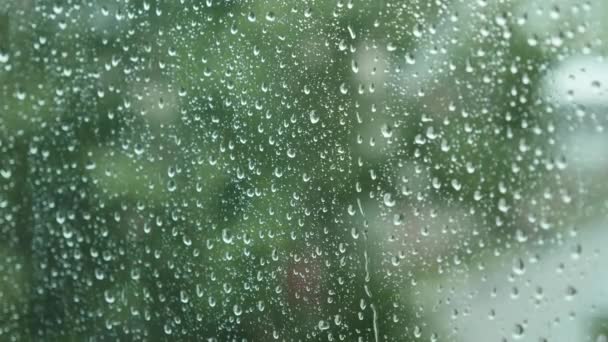 窗户玻璃上滴水的特写 夏天大雨倾盆而下 雷雨与强风阵阵 — 图库视频影像