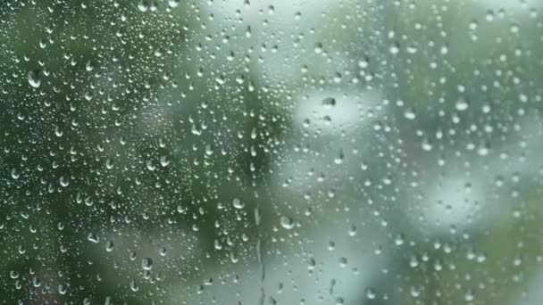 窗户玻璃上滴水的特写 夏天大雨倾盆而下 雷雨与强风阵阵 — 图库视频影像