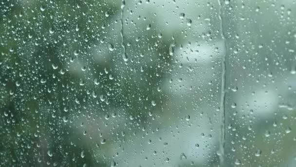 ガラス窓に水滴が閉まる 激しい夏の雨の間に転げ落ちる 強風と雷雨風の突風 — ストック動画