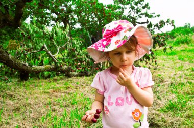 ve kim ağaç kırdı