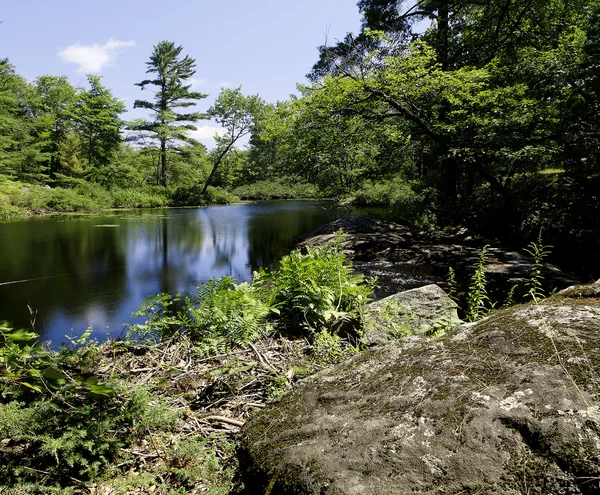 Mavi Göl kenarında taşlar