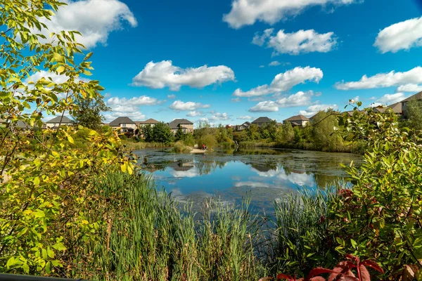 在青翠的灌木丛和芦苇间的一个城市池塘 映衬着蓝天 水中点缀着白云 — 图库照片