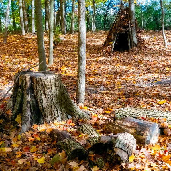 Large Stump Logs Lying Nearby Front Old Abandoned Hut Autumn — Stock Photo, Image