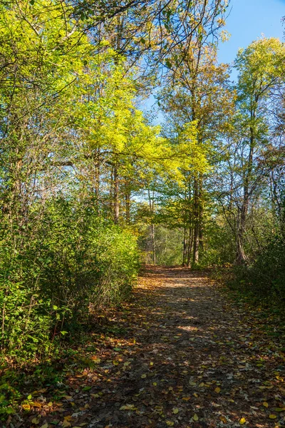Autumn Trails Ontario Canada — Stock Photo, Image
