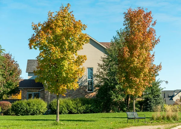 Dos Arces Otoño Crecen Césped Verde Cerca Una Pequeña Casa — Foto de Stock