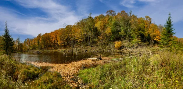 Kanadský Podzim Bobřím Jezeře Pod Kopcem Podzimním Lesem — Stock fotografie