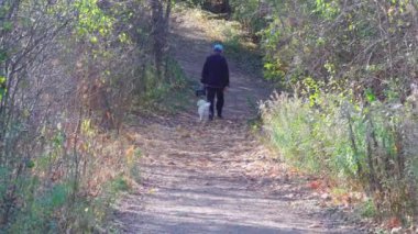 Yaşlı bir adam küçük beyaz bir köpekle ormanda bir patika boyunca yürüyor.